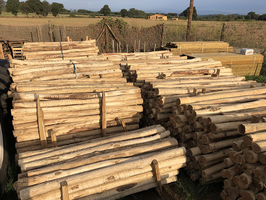11 Postes pelados acacia