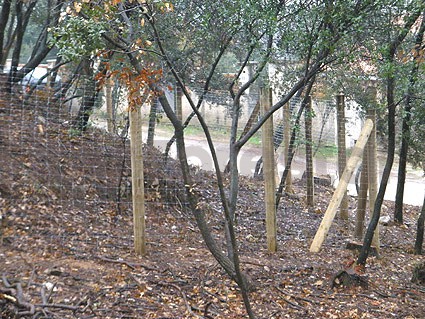 Tanca ramadera o cinegetica