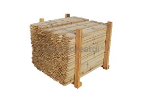 2_estaques_tutors_acacia